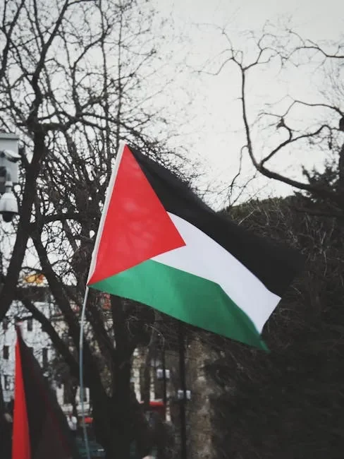 Photo by Afitab from Pexels